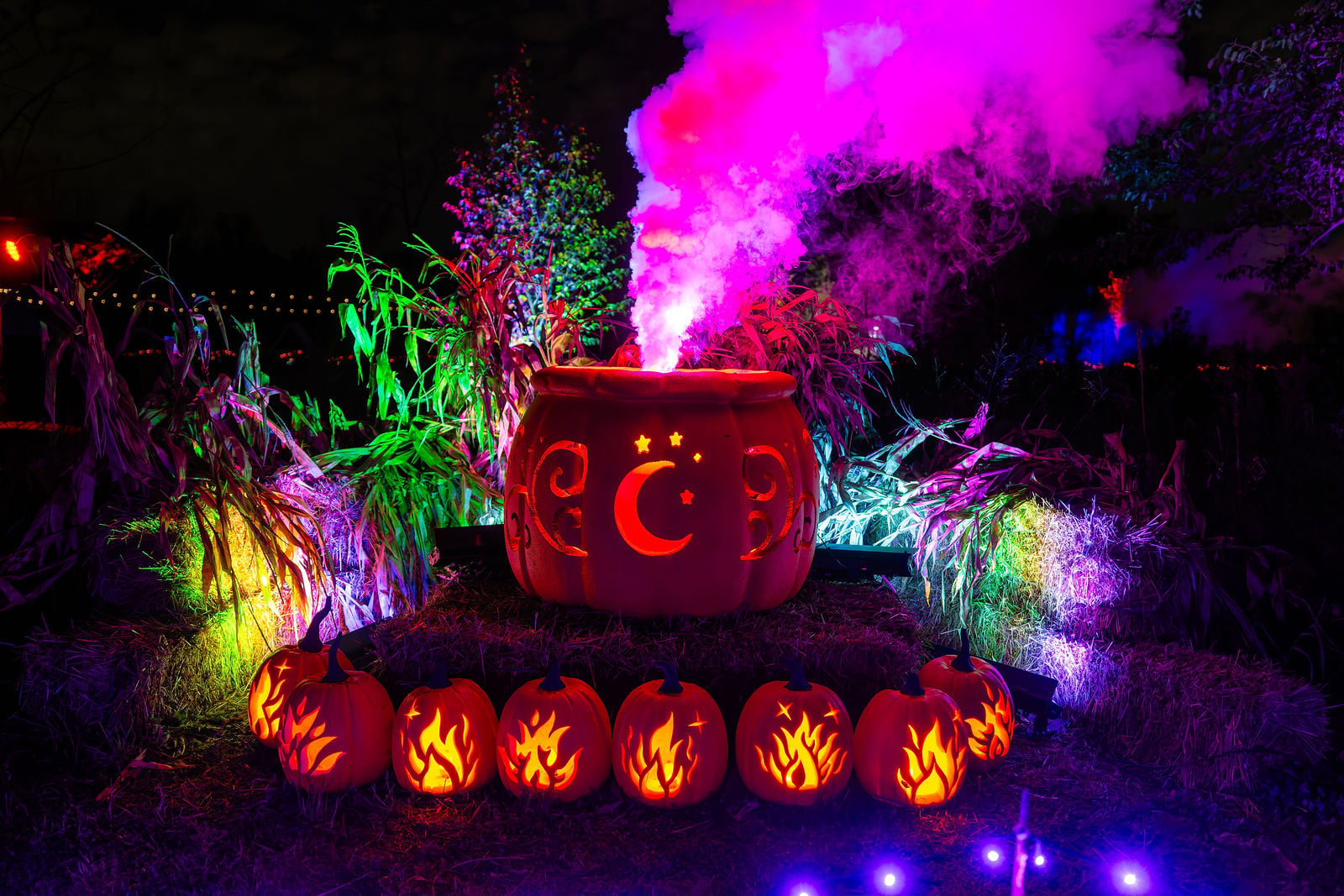 The enchanted cauldron display bubbling with glowing pink smoke