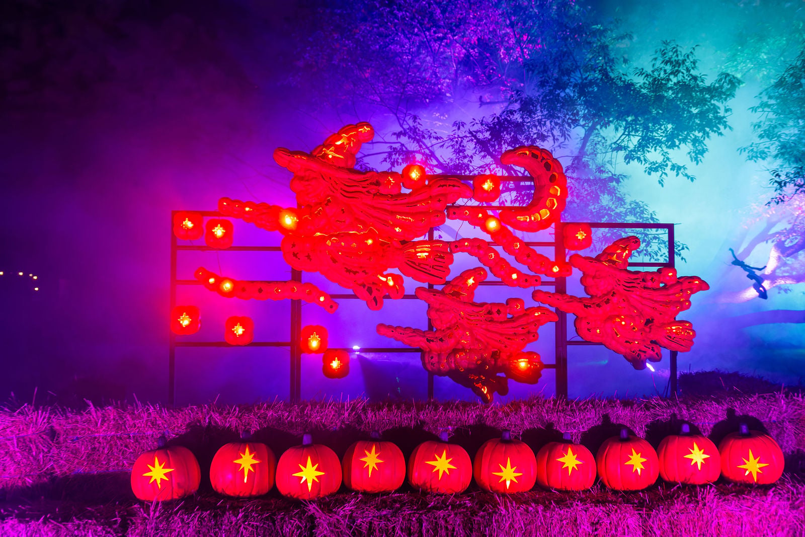 A display of flying witches made of glowing carved pumpkins
