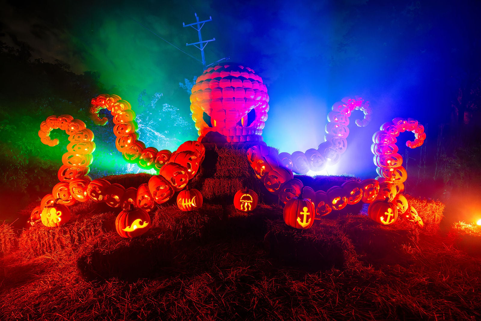 The giant pumpkin kraken glowing through green and blue fog